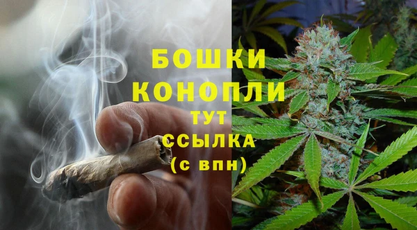 тгк Кулебаки