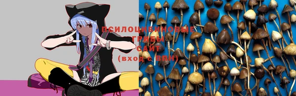 тгк Кулебаки