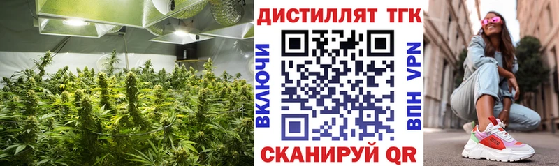 ТГК THC oil Купить закладки Пласт