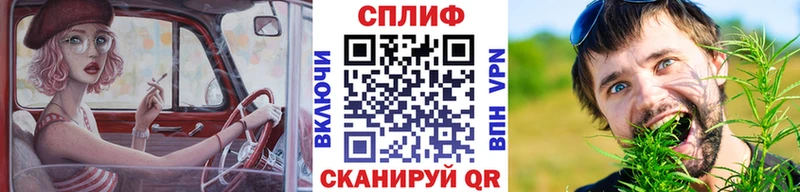 Шишки марихуана Ganja  Купить где  Пласт 